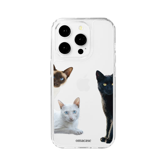 Curious Cats Phone Case